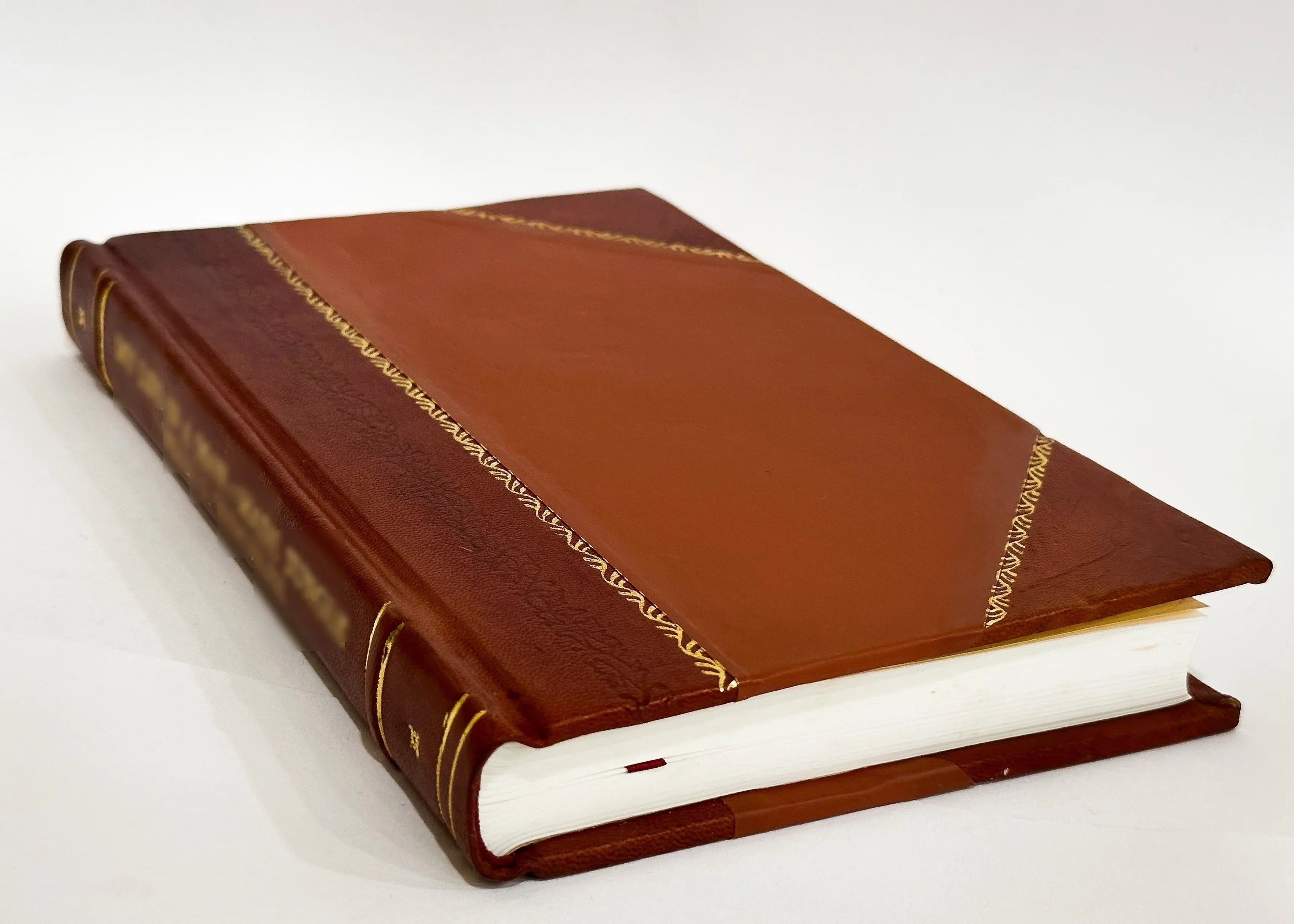 Papal Aggressions A Sermon / John Casebow Barrett (1850) (1850) [Leather Bound]