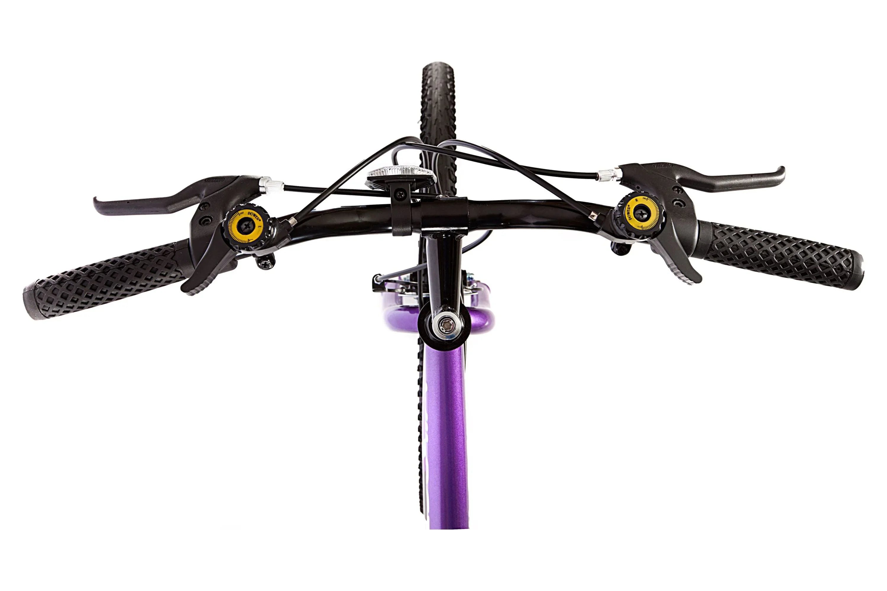 Titan Wildcat 18-Speed Women's Mountain Bike, Purple and Black