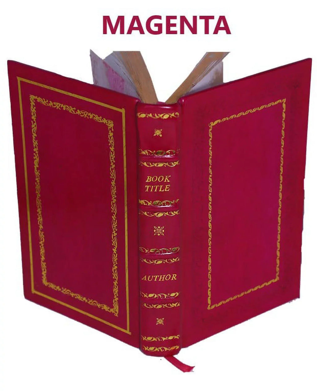 L'historia di casa Orsina / di Francesco Sansovino ; nella quale oltre all'origine sua si contengono molte nobili imprese fatte da loro in diuerse prouincie [Premium Leather Bound]