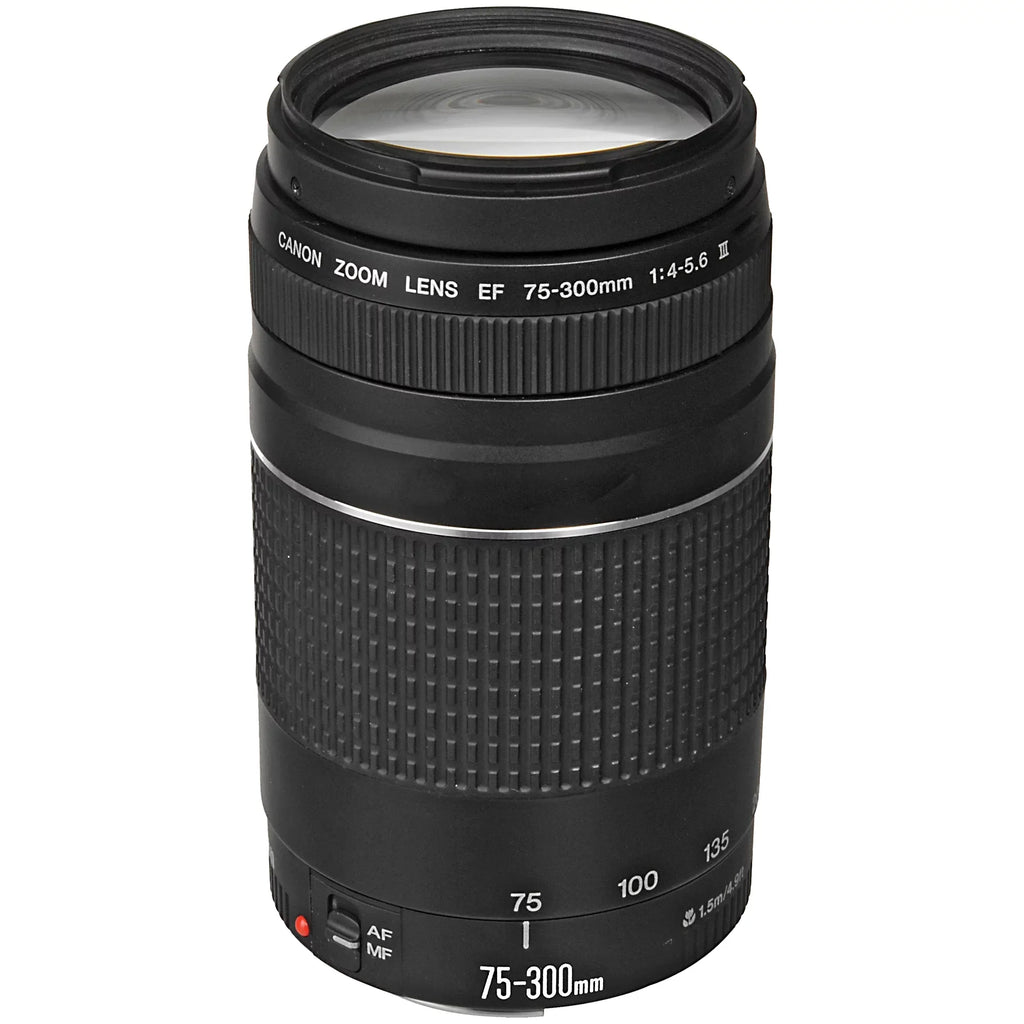 Canon EOS R6 Mirrorless Digital Camera with RF 24-105mm STM + 75-300mm Lens + Mount Adapter + SanDisk 64GB + ZeeTech Accessory