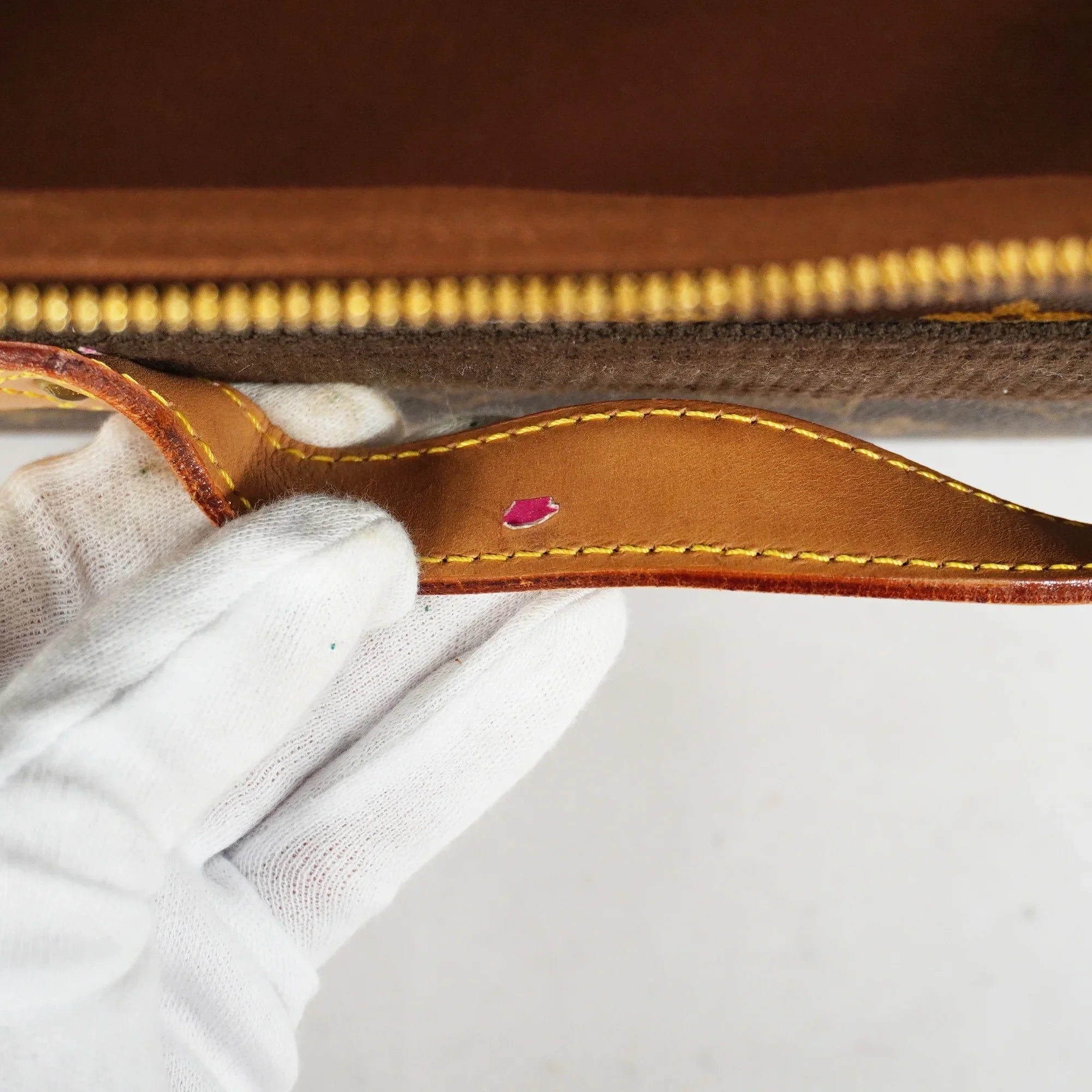 Used Auth Louis Vuitton Carry Case Monogram Pegas 55 M23294