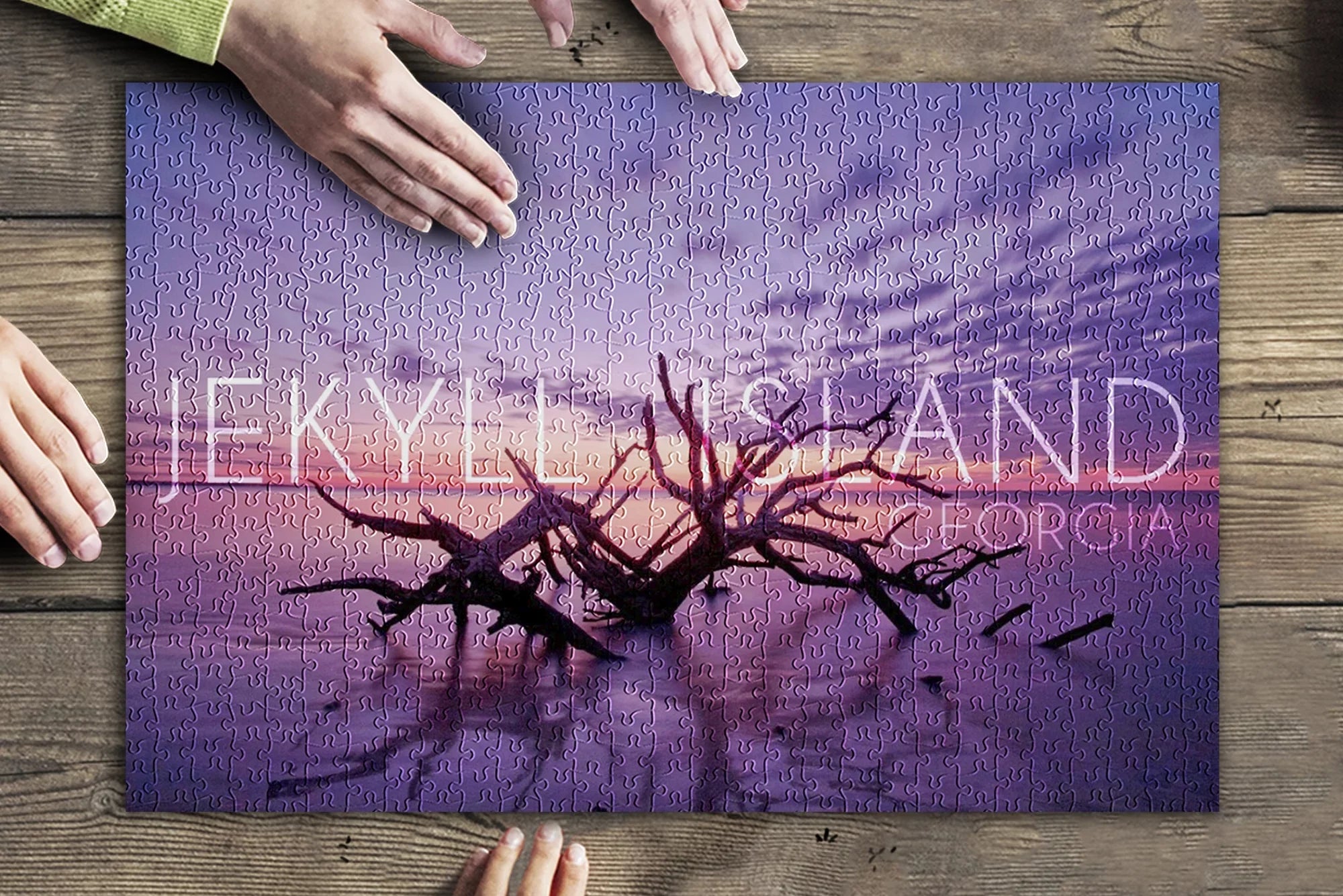 Jekyll Island, Georgia, Driftwood on Beach at Sunset (19x27 inches, Premium 500 Piece Jigsaw Puzzle for Adults and Family, Made in USA)