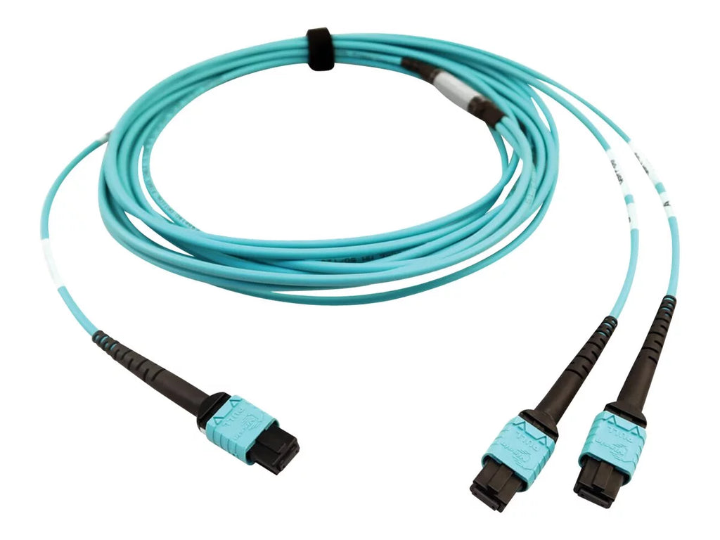 Eaton Tripp Lite Series 400G Multimode 50/125 OM4 Plenum Fiber Optic Cable, 24F MTP/MPO-PC to (x2) 12F MTP/MPO-PC (F/F), Aqua, 5 m - Network cable - MTP/MPO/PC multi-mode (F) to MTP/MPO/PC multi-mode (F) - 5 m - fiber optic - 50 / 125 micron - OM4 -