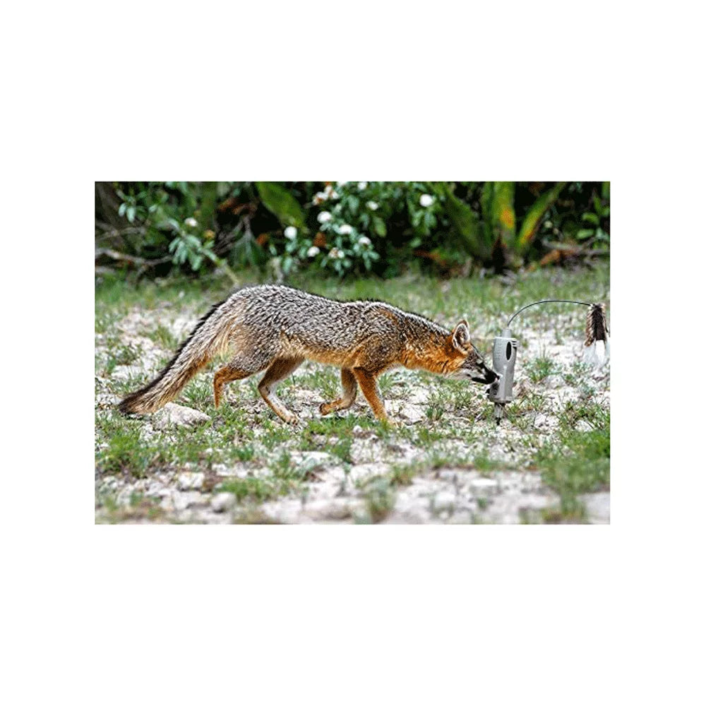 ICOtec ICO30200 Universal Predator Decoy with Speed Dial, LED Lights, & Toppers