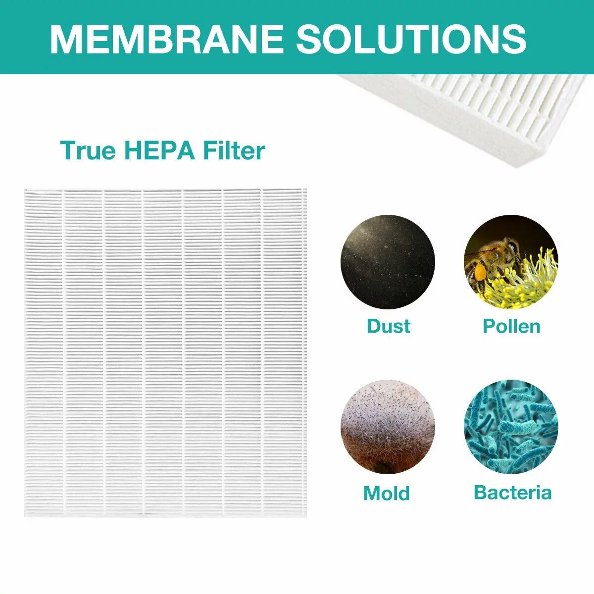 Membrane Solutions AP-1512HH Filter, Part# 3304899, Compatible with Coway Air Purifiers with Carbon Pre Filters, 2 Pack
