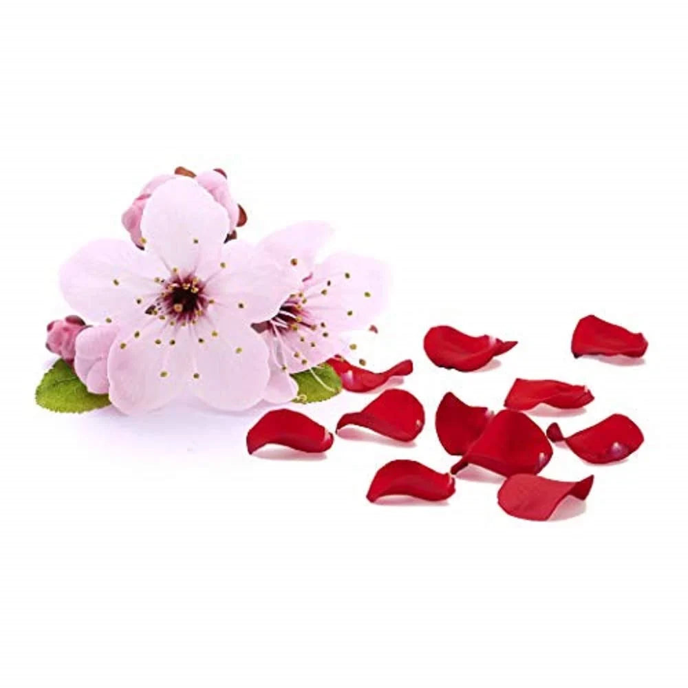 GIOVANNI 2chic Ultra Luxurious Super Potion Silkening Hair Serum, 4 oz. Cherry Blossom & Rose Petals, Aloe Vera, Pro-Vitamin B5, Smooths Curly & Wavy Hair, Paraben Free, Color Safe (Pack of 3)