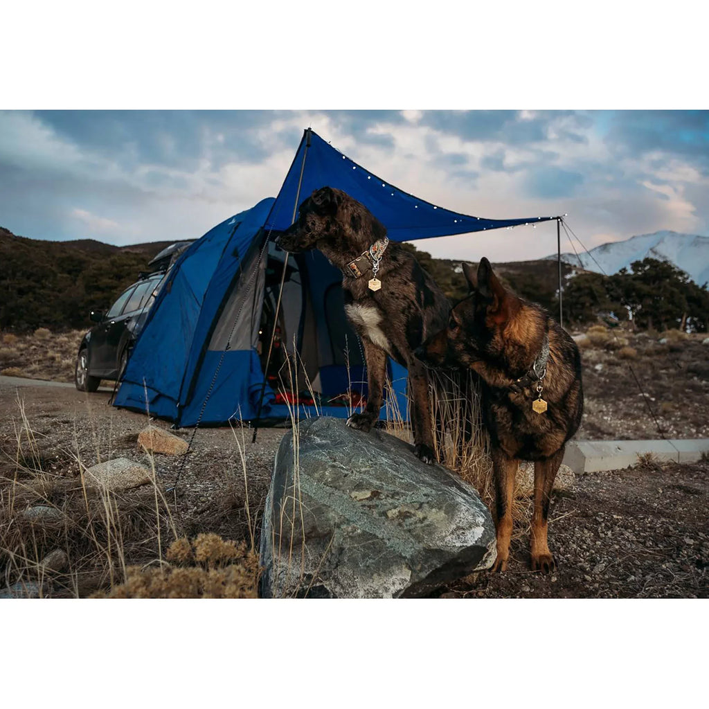 Napier Sportz Dome-To-Go Universal SUV Cargo 4 Person Camping Tent with Awning