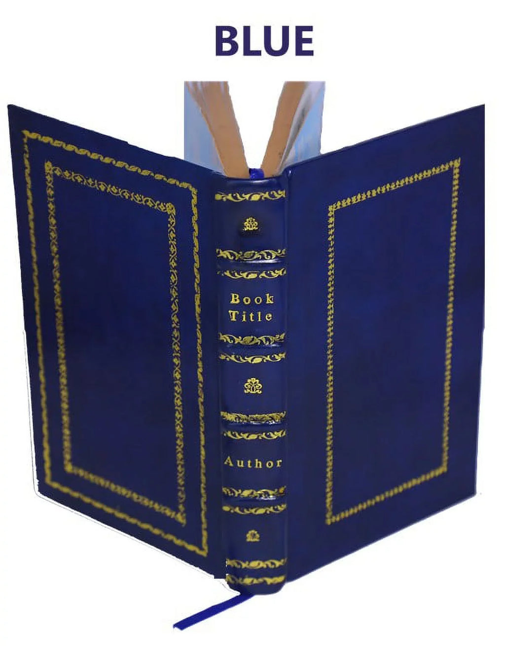 L'historia di casa Orsina / di Francesco Sansovino ; nella quale oltre all'origine sua si contengono molte nobili imprese fatte da loro in diuerse prouincie [Premium Leather Bound]