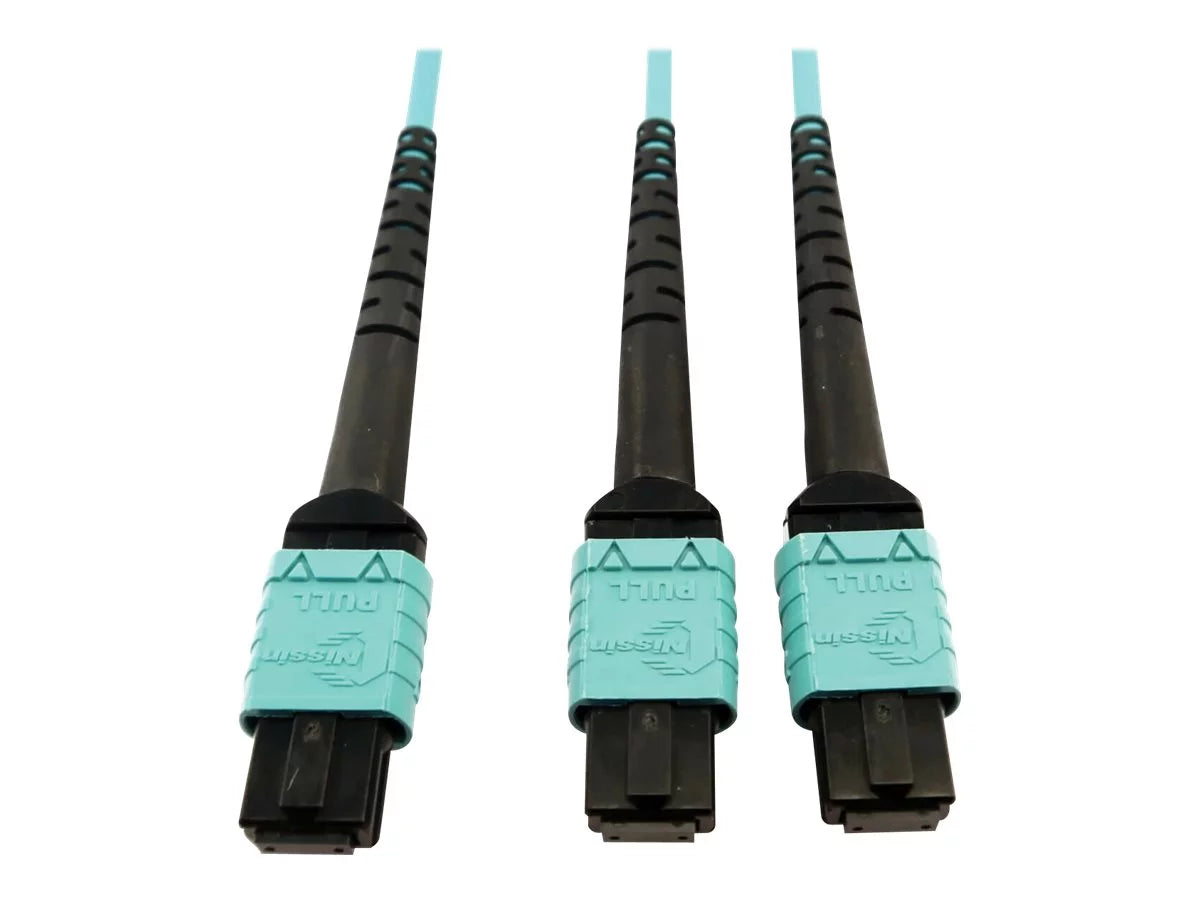 Eaton Tripp Lite Series 400G Multimode 50/125 OM4 Plenum Fiber Optic Cable, 24F MTP/MPO-PC to (x2) 12F MTP/MPO-PC (F/F), Aqua, 5 m - Network cable - MTP/MPO/PC multi-mode (F) to MTP/MPO/PC multi-mode (F) - 5 m - fiber optic - 50 / 125 micron - OM4 -