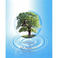 A clear sphere with a full tree floats over a large water ring with reflection Poster Print by  - 20 x 24