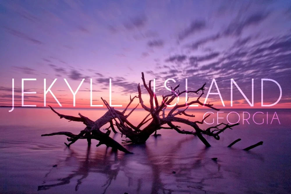Jekyll Island, Georgia, Driftwood on Beach at Sunset (19x27 inches, Premium 500 Piece Jigsaw Puzzle for Adults and Family, Made in USA)