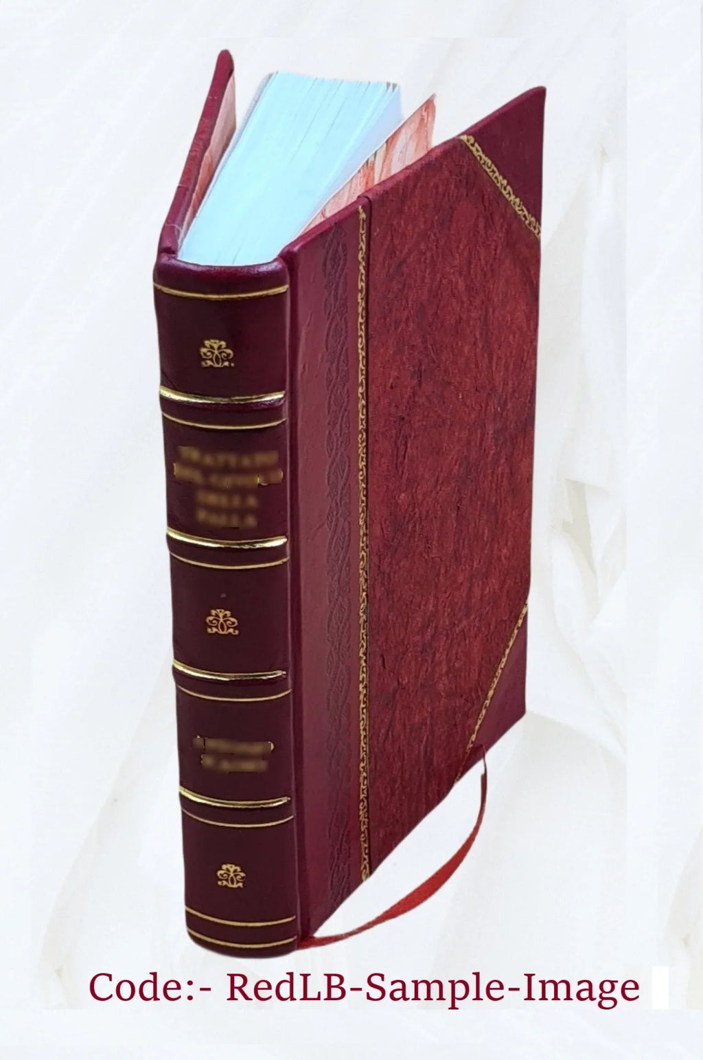 Papers Volume 3 2019 [Leather Bound]