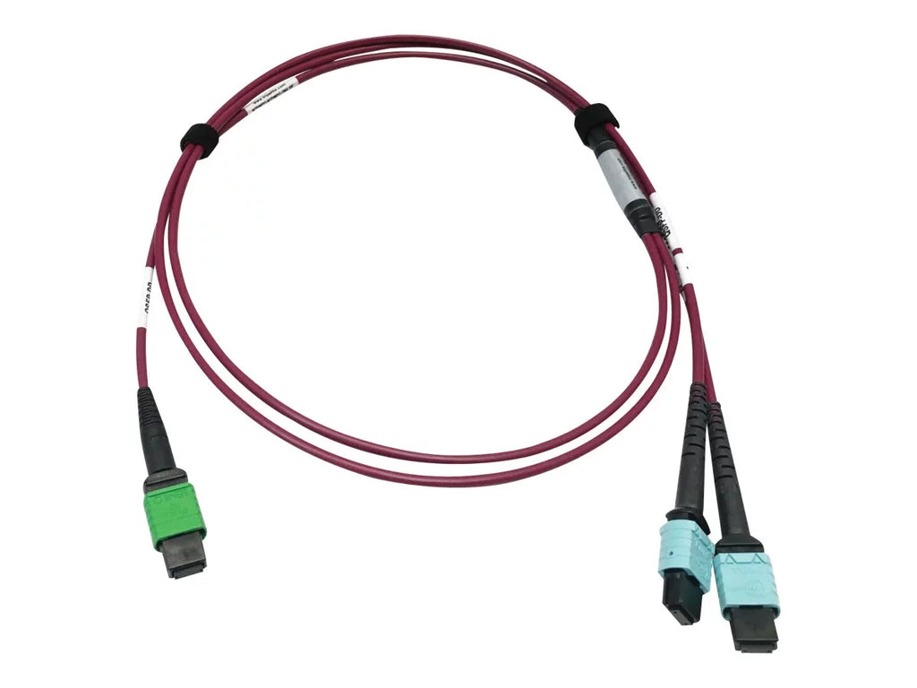 Eaton Tripp Lite Series 400G Multimode 50/125 OM4 Plenum Fiber Optic Cable, 16F MTP/MPO-APC to (x2) 12F MTP/MPO-UPC (F/F), Magenta, 3 m - Network cable - MTP/MPO/APC multi-mode (F) to MTP/MPO/UPC multi-mode (F) - 3 m - fiber optic - 50 / 125 micron -