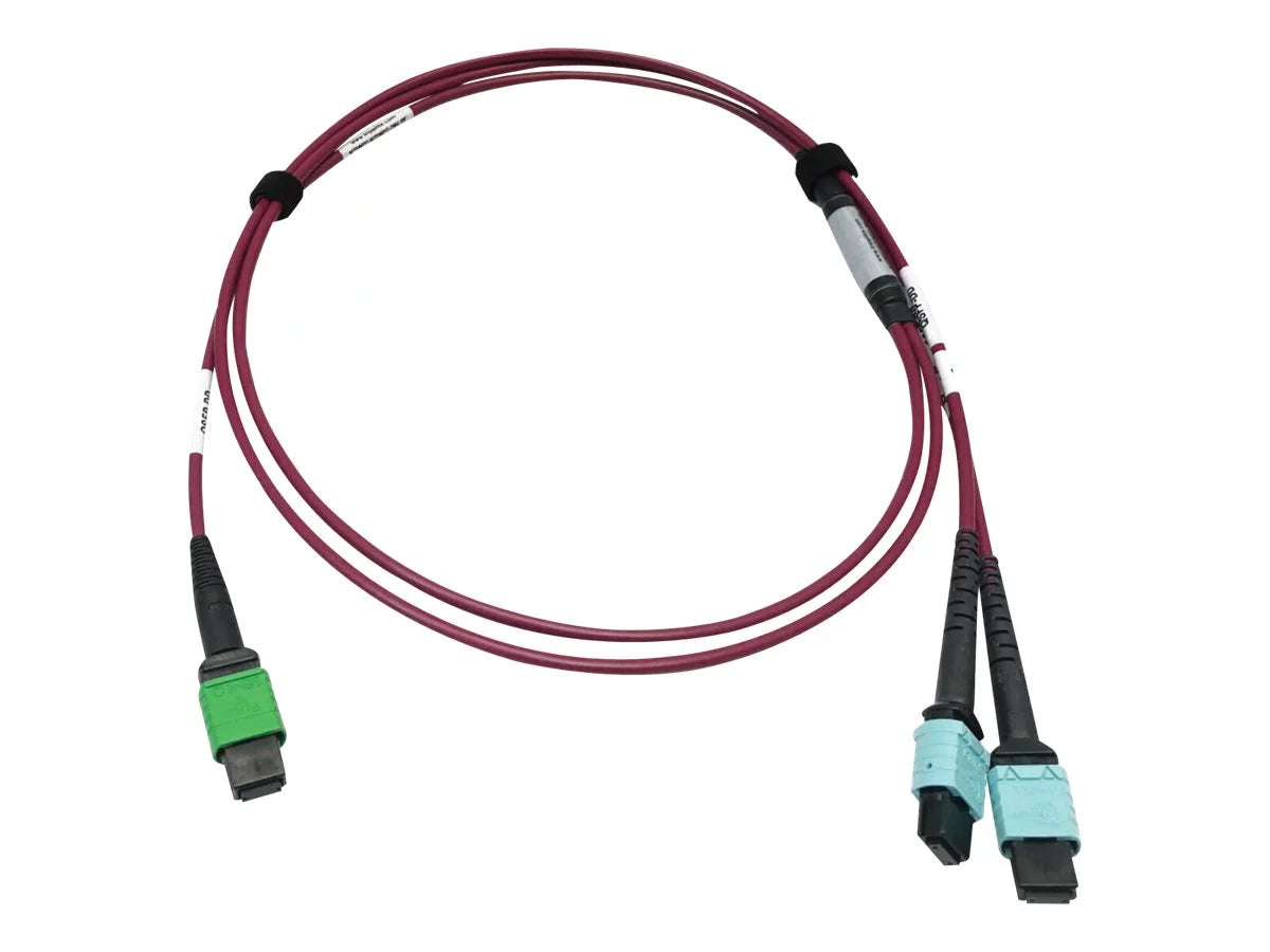 Eaton Tripp Lite Series 400G Multimode 50/125 OM4 Plenum Fiber Optic Cable, 16F MTP/MPO-APC to (x2) 12F MTP/MPO-UPC (F/F), Magenta, 3 m - Network cable - MTP/MPO/APC multi-mode (F) to MTP/MPO/UPC multi-mode (F) - 3 m - fiber optic - 50 / 125 micron -