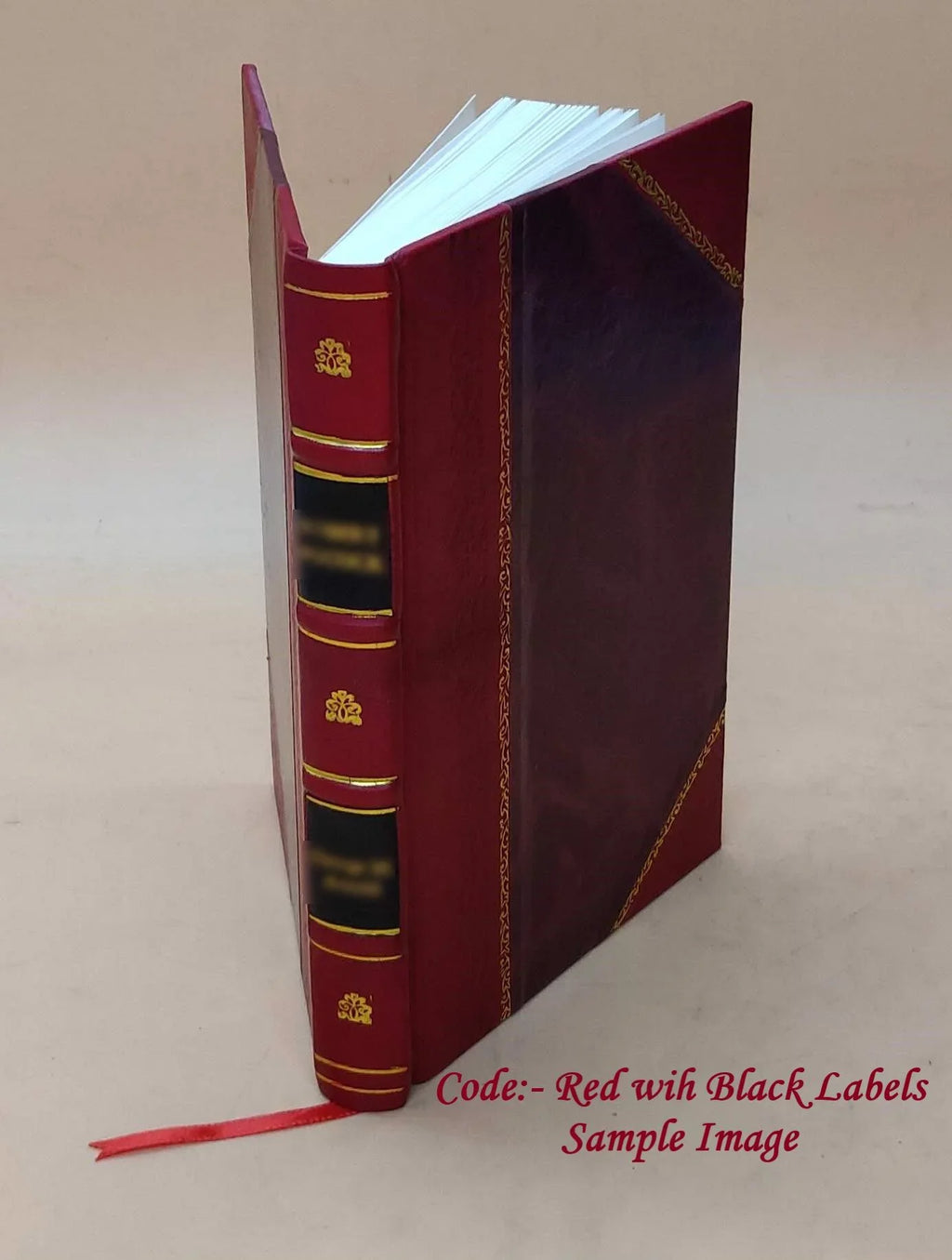 The sins of the fathers 1914 [Leather Bound]