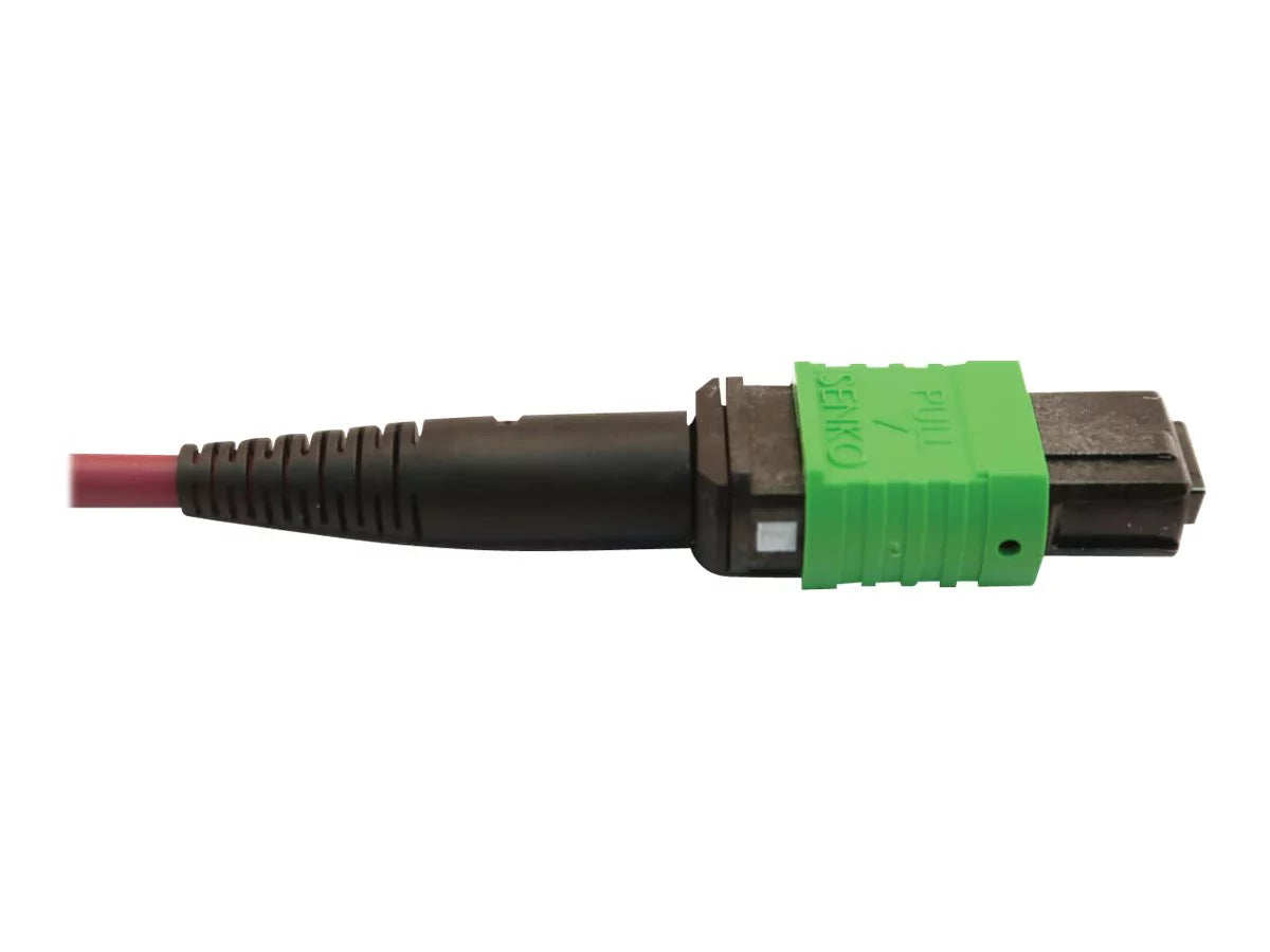 Eaton Tripp Lite Series 400G Multimode 50/125 OM4 Plenum Fiber Optic Cable, 16F MTP/MPO-APC to (x2) 12F MTP/MPO-UPC (F/F), Magenta, 3 m - Network cable - MTP/MPO/APC multi-mode (F) to MTP/MPO/UPC multi-mode (F) - 3 m - fiber optic - 50 / 125 micron -
