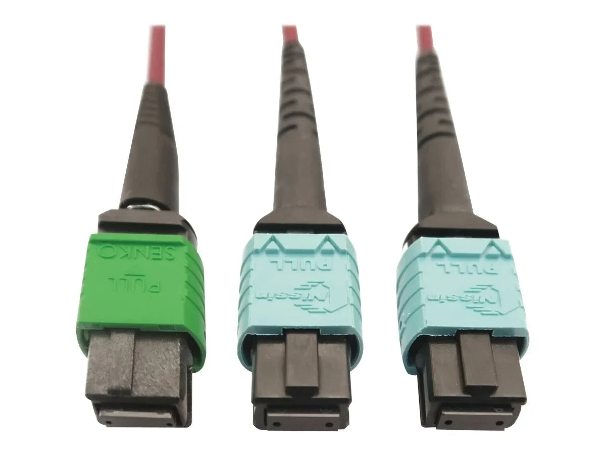 Eaton Tripp Lite Series 400G Multimode 50/125 OM4 Plenum Fiber Optic Cable, 16F MTP/MPO-APC to (x2) 12F MTP/MPO-UPC (F/F), Magenta, 3 m - Network cable - MTP/MPO/APC multi-mode (F) to MTP/MPO/UPC multi-mode (F) - 3 m - fiber optic - 50 / 125 micron -