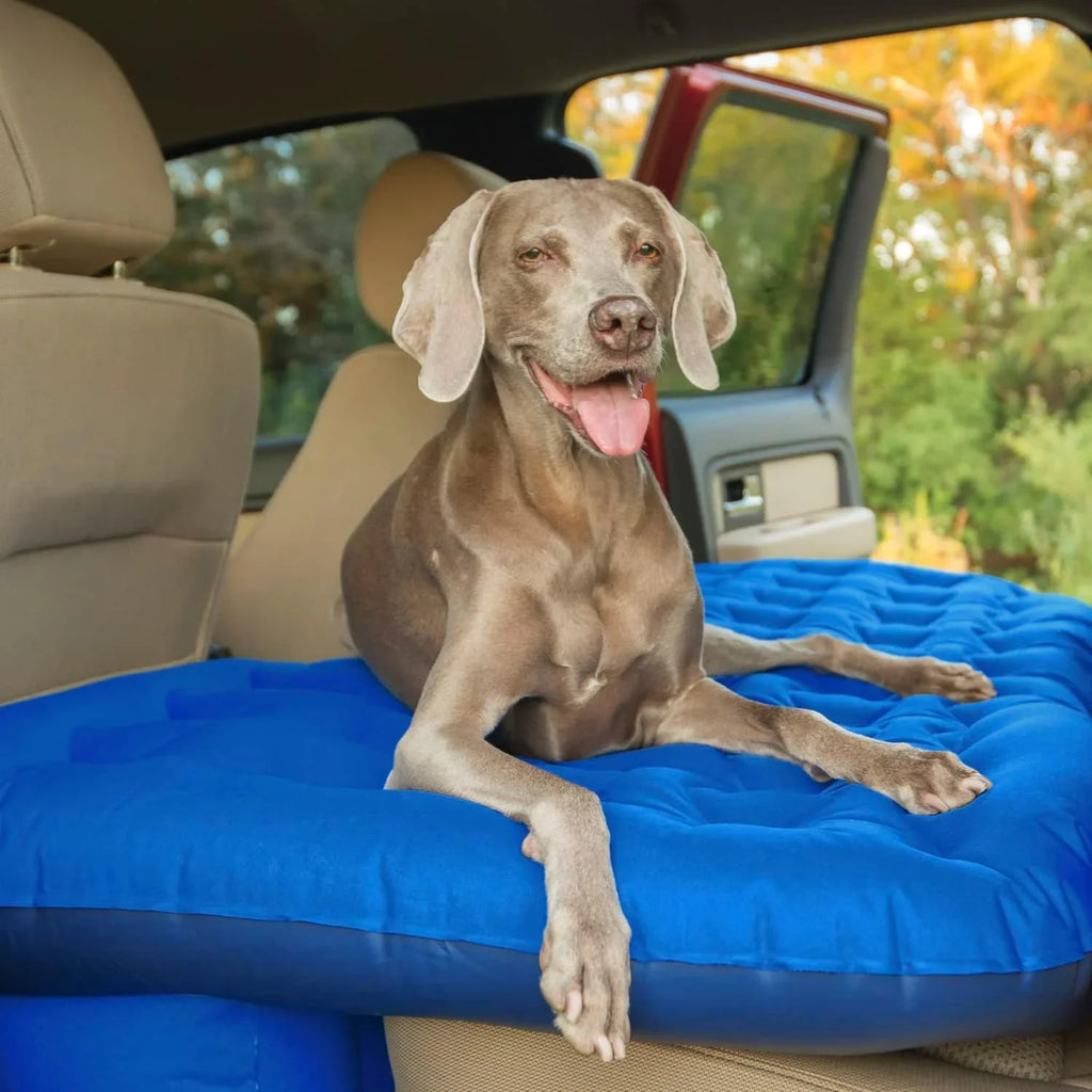 Pittman Outdoors PPI-BLU-TRKMAT InfLatitudeable Fabric Rear Seat Truck Air Bed Mattress | 5 Feet In Length | Fits Full-Sized Trucks And 's, Blue